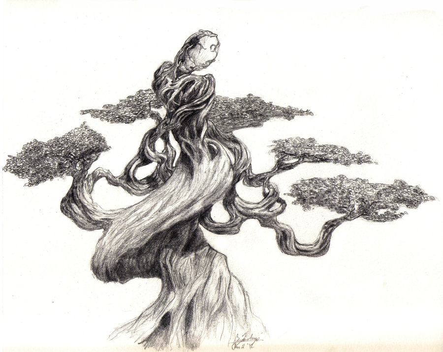 900x715 Bonsai By Floopate - Bonsai Sketch
