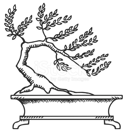 422x440 Stock Vector - Bonsai Sketch