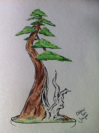 336x450 The Use Of Virtuals In Bonsai Design - Bonsai Sketch