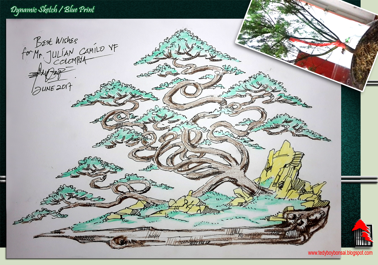 1477x1034 Tedy Boy Bonsai Drawing Teddy Boy Cartoon Tedi Boy Doodle Teddy - Bonsai Sketch