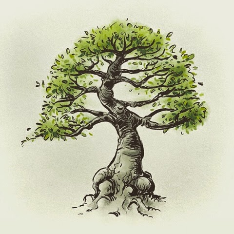 480x480 News Bonsai Tree Sketch - Bonsai Sketch