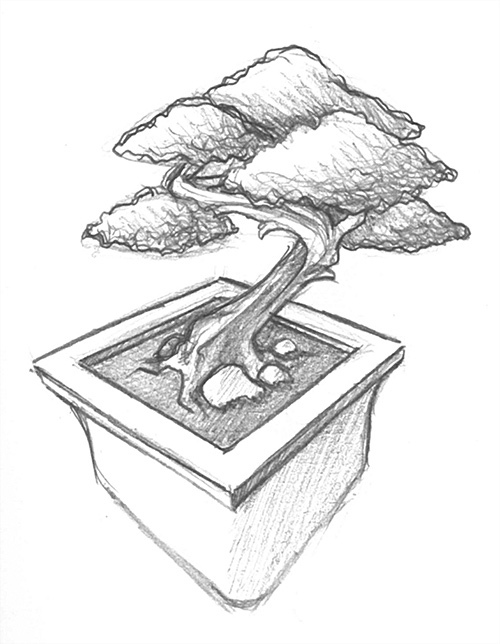 500x644 Bonsai Concept Sketch Pencil Sketch Of Bonsai Tree. - Bonsai Sketch