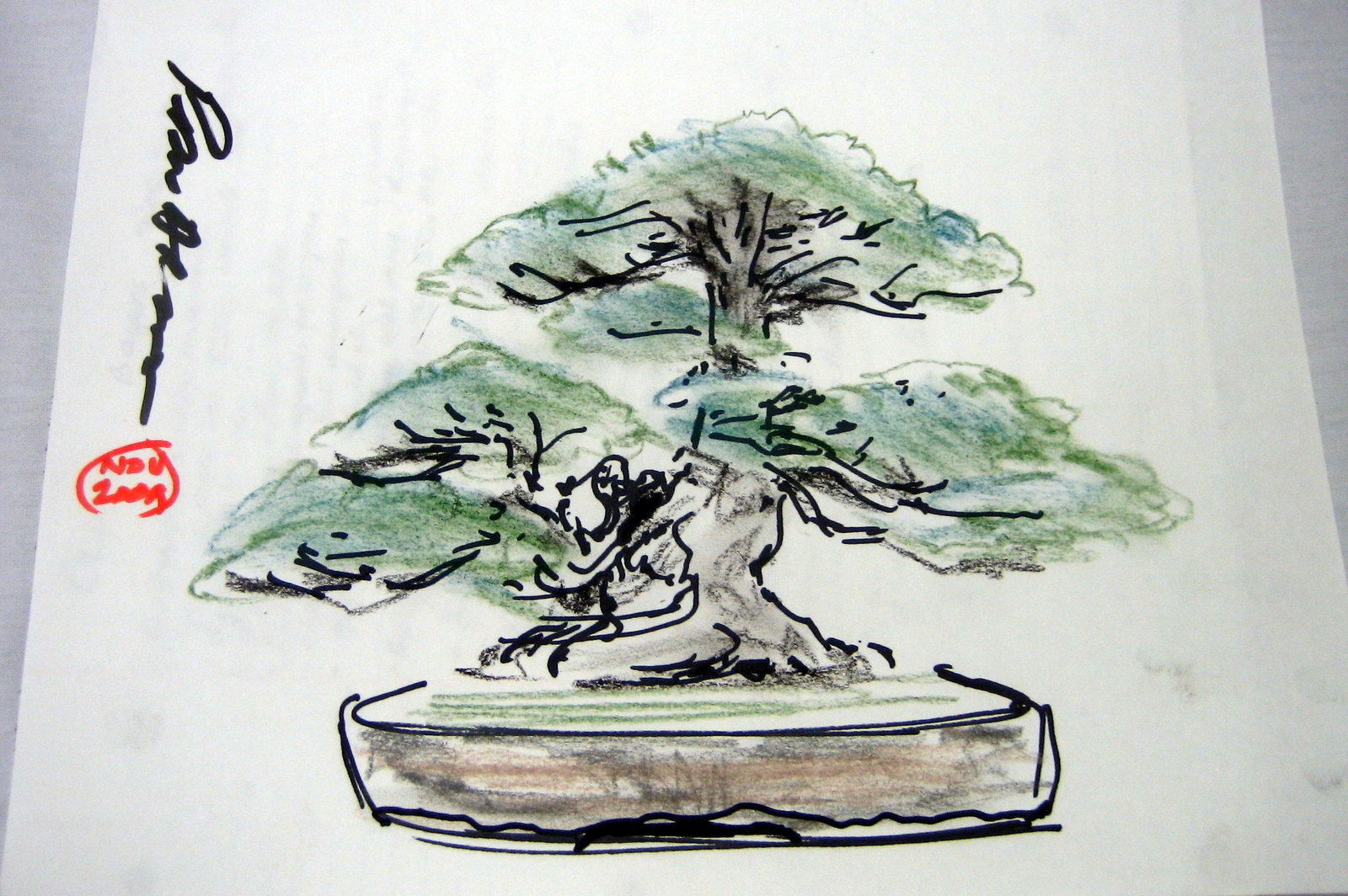 1600x1064 Bonsai Development Capital Bonsai - Bonsai Sketch