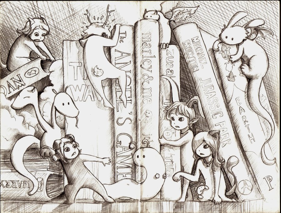 900x683 Meanwhile In My Bookshelf - Bookshelf Sketch