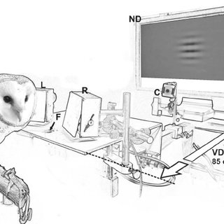 320x320 A Sketch Of The Experimental Booth, Showing The Relevant Parts Of - Booth Sketch