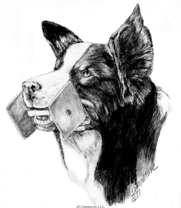 600x689 Border Collie Obedience Sketch Sweatshirt - Border Collie Sketch