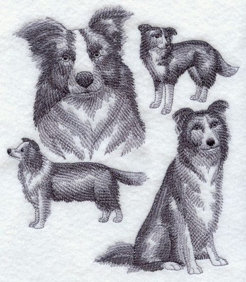 500x573 Border Collie Sketch Machine Embroidery Quilt Blocks (Azeb - Border Collie Sketch