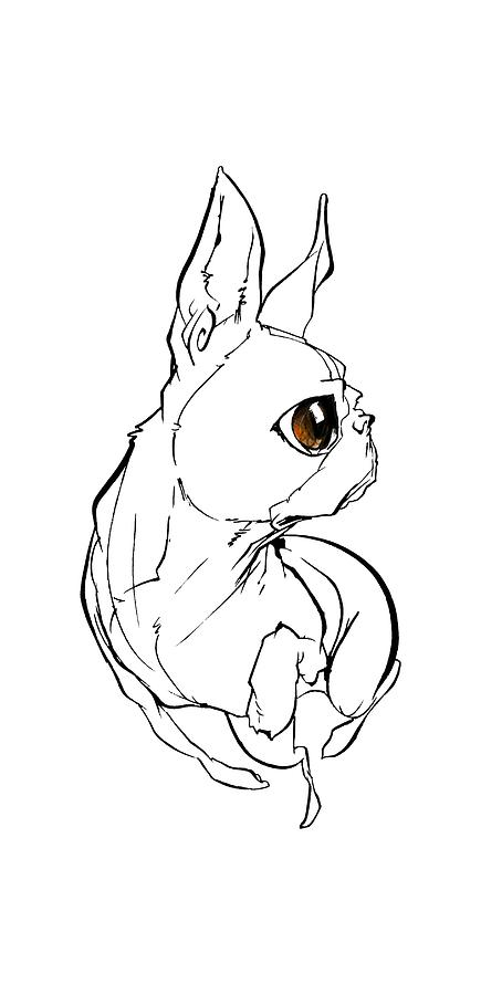 435x900 Boston Terrier Gesture Sketch Drawing By John Lafree - Boston Terrier Sketch