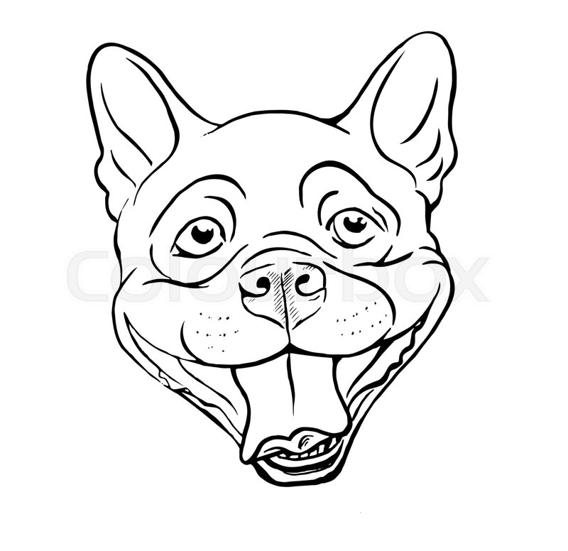 800x776 Boston Terrier, Smiling Dog Face, Portrait, Sketch, Black And - Boston Terrier Sketch