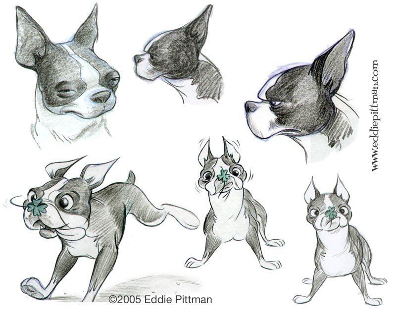 800x636 Eddie Pittman Boston Terrier - Boston Terrier Sketch