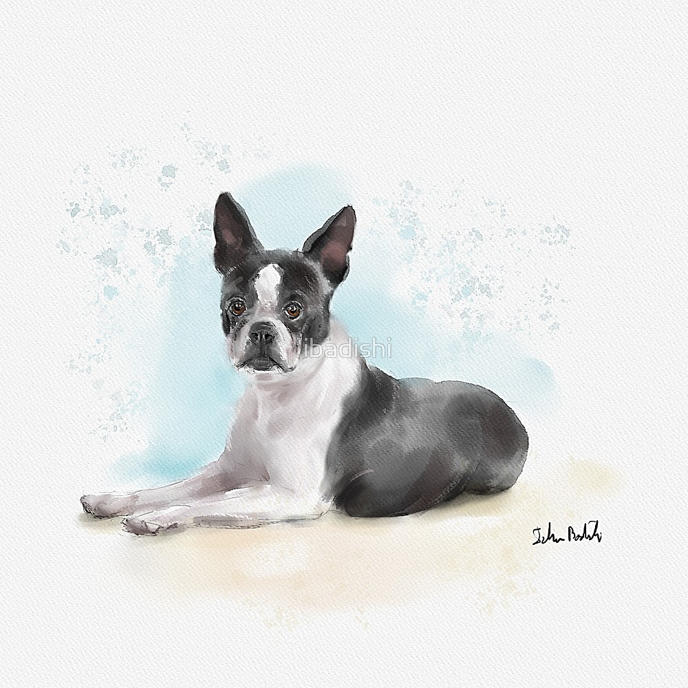 1000x1000 Watercolor Sketch Of A Black And White Boston Terrier Lying Down - Boston Terrier Sketch