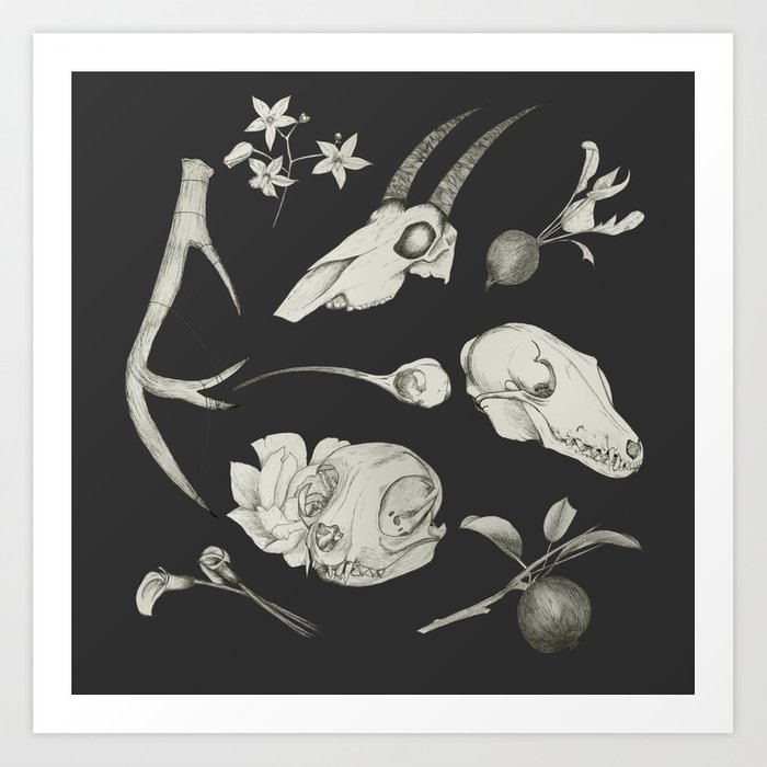 700x700 Bones And Botanical Sketches Art Print By Soyburgers Society6 - Botanical Sketches