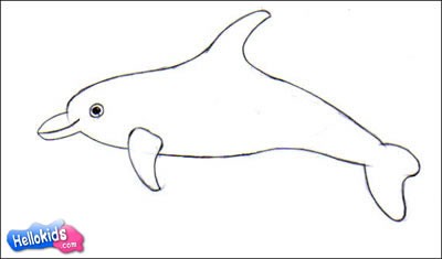 400x235 How To Draw Bottlenose Dolphin - Bottlenose Dolphin Sketch