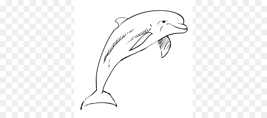 900x400 Tucuxi Common Bottlenose Dolphin Drawing Sketch - Bottlenose Dolphin Sketch