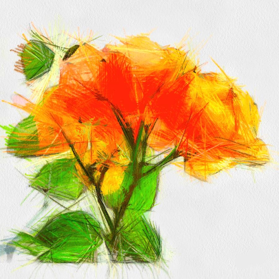 900x900 Sketch - Bougainvillea Sketch