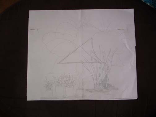 504x378 Bougainvillea Sketch Pattern Curiosities 808 - Bougainvillea Sketch