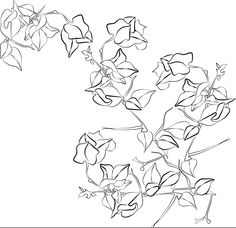236x228 699 Best Drawingsketching Tutorials Images In 2018 - Bougainvillea Sketch