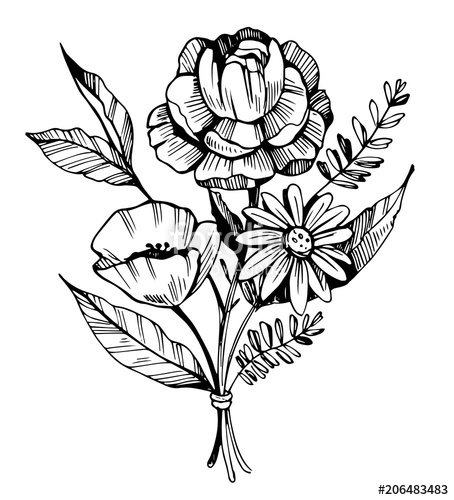 454x500 Bouquet Of Flowers Sketch Stock Image And Royalty Free Vector - Bouquet Of Flowers Sketch