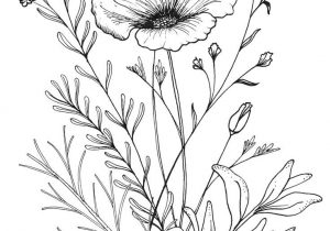 300x210 Bouquet Of Flowers Drawing Bouquet Of Flowers Drawing Drawn - Bouquet Sketch
