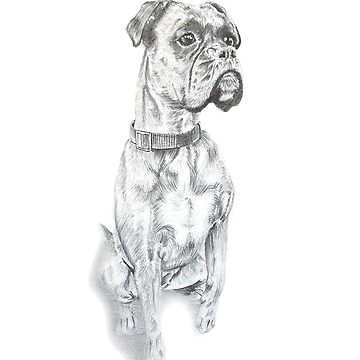 360x360 Boxer Dog Sketch Unisex T Shirt By Scottcollinson Redbubble - Boxer Dog Sketch