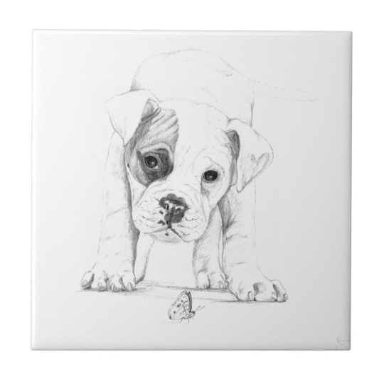 540x540 Patch A Boxer Puppy Drawing Art Tile - Boxer Dog Sketch