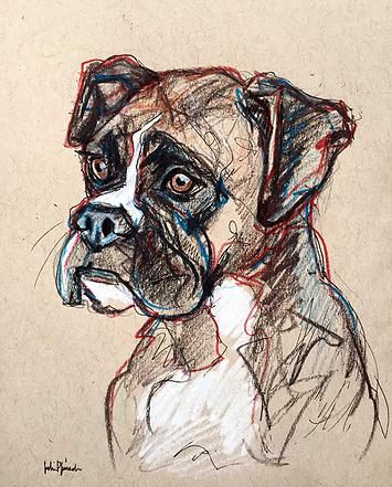 355x441 Pet Portrait Sketches Duke The Boxer Pencil, Colored Pencil And - Boxer Dog Sketch