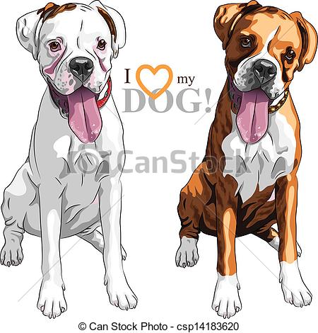 450x470 Vector Sketch Two Domestic Dog Boxer Breed . Closeup Portrait Of - Boxer Dog Sketch