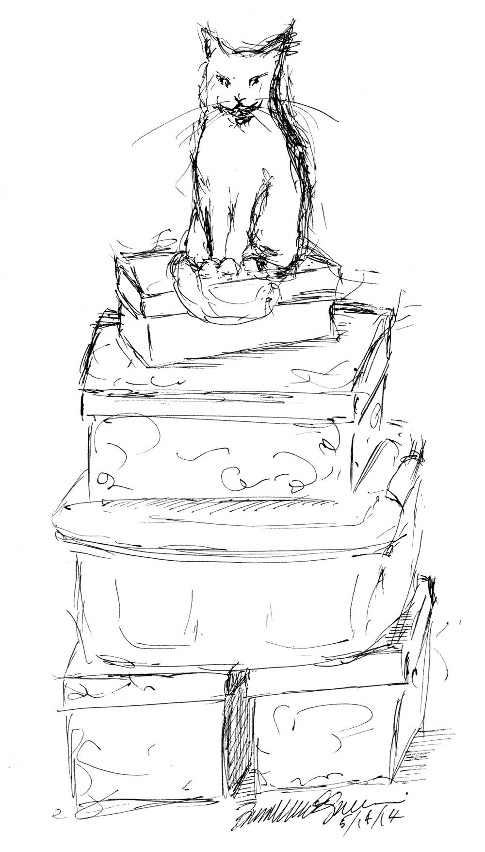 1000x1755 Daily Sketch King Of The Pile Of Boxes ~ The Creative Cat - Boxes Sketch