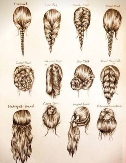 433x559 Drawn Braid Hair Sketch Tumblr - Braid Sketch