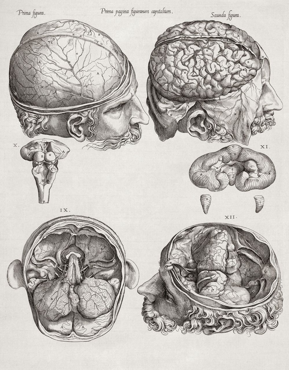 999x1280 Pin By Tomi Ehlers On Teach Me How To Art. Anatomy - Brain Anatomy Sketch