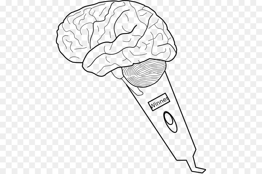 900x600 Drawing Human Brain Sketch - Brain Sketch