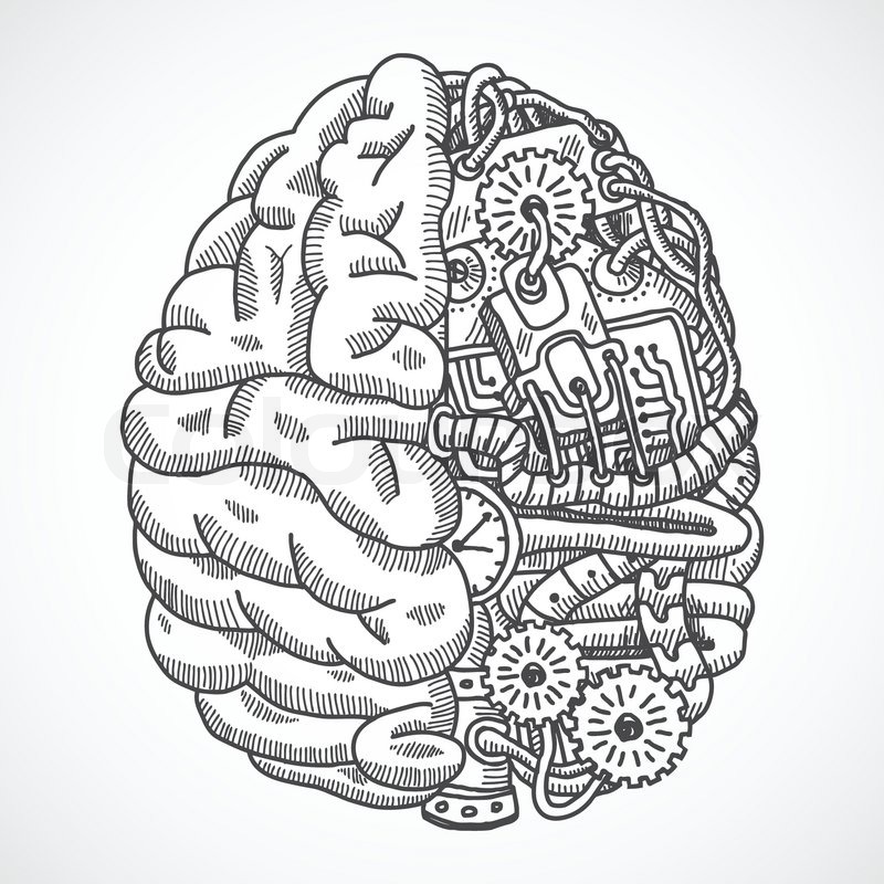 800x800 Human Brain As Engineering Processing Machine Sketch Concept - Brain Sketch