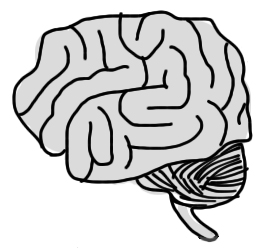 261x248 Brain Sketch Ux Mastery - Brain Sketch