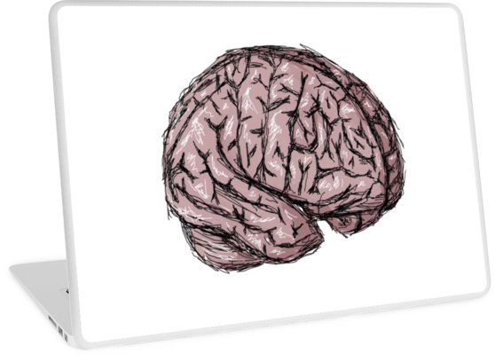 558x400 Brain Sketch Laptop Skins By Taradigrade Redbubble - Brain Sketch