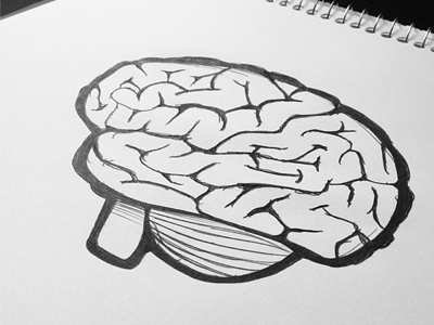 400x300 Brain Sketch By Zack Smith - Brain Sketch