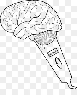 260x320 Drawing Human Brain Sketch - Brain Sketch Diagram