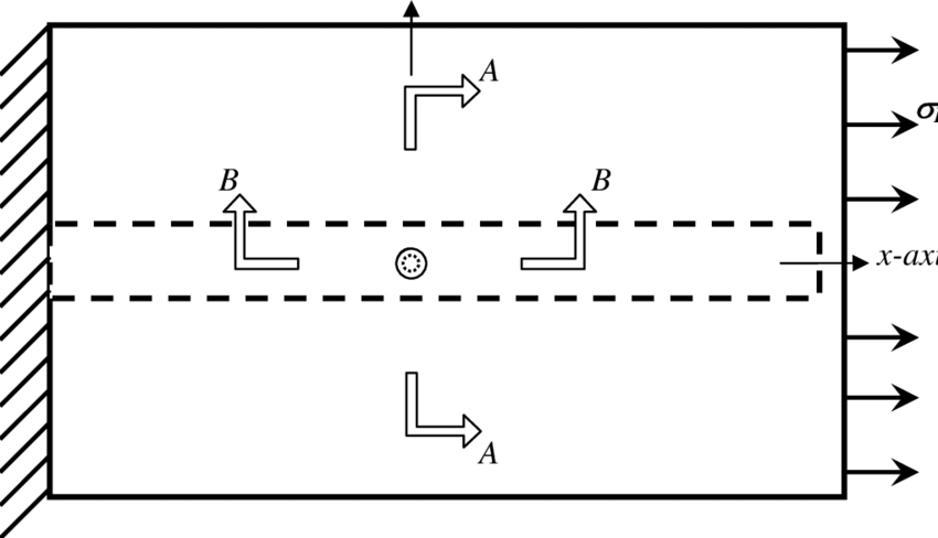 850x488 Sketch Of A Skin Diagram - Brain Sketch Diagram