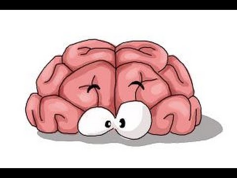 480x360 How To Draw A Brain For Kids - Brain Sketch Simple