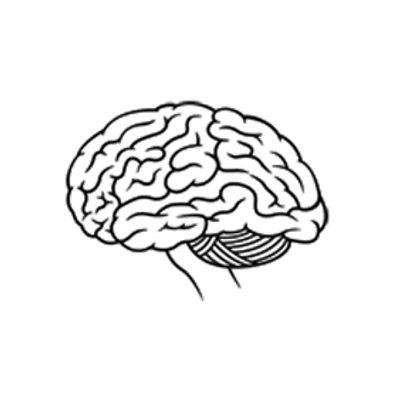 393x393 Photos Easy Brain Drawing, - Brain Sketch Simple
