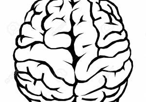 300x210 Simple Brain Sketch Simple Brain Drawing At Getdrawings Free For - Brain Sketch Simple