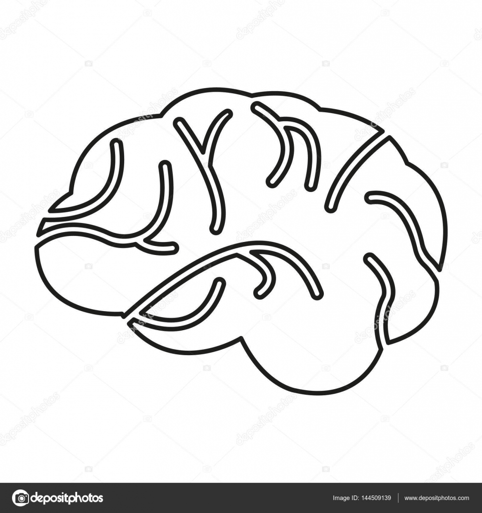 963x1024 Simple Brain Sketch Simple Brain Sketch Simple Brain Icon Stock - Brain Sketch Simple