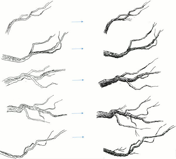 600x540 How To Draw Tree Branches And Twigs In Pen And Ink My Pen And - Branch Sketch