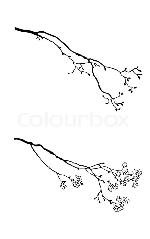 503x800 Silhouette Of The Branch Tree On White Background Stock Vector - Branch Sketch