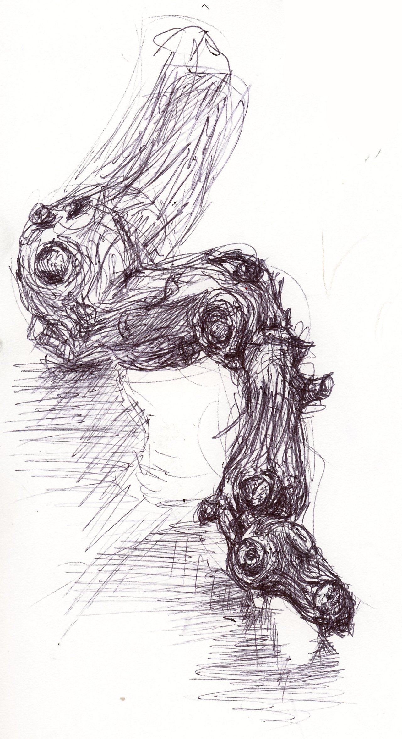 1280x2350 Branch Sketch By Ningerginjaaahh - Branch Sketch