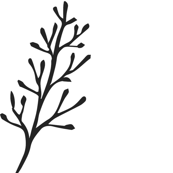 600x600 Bare Branch Sketch Rubber Stamp Flower Amp Leaf Stamps Stamptopia - Branch Sketch