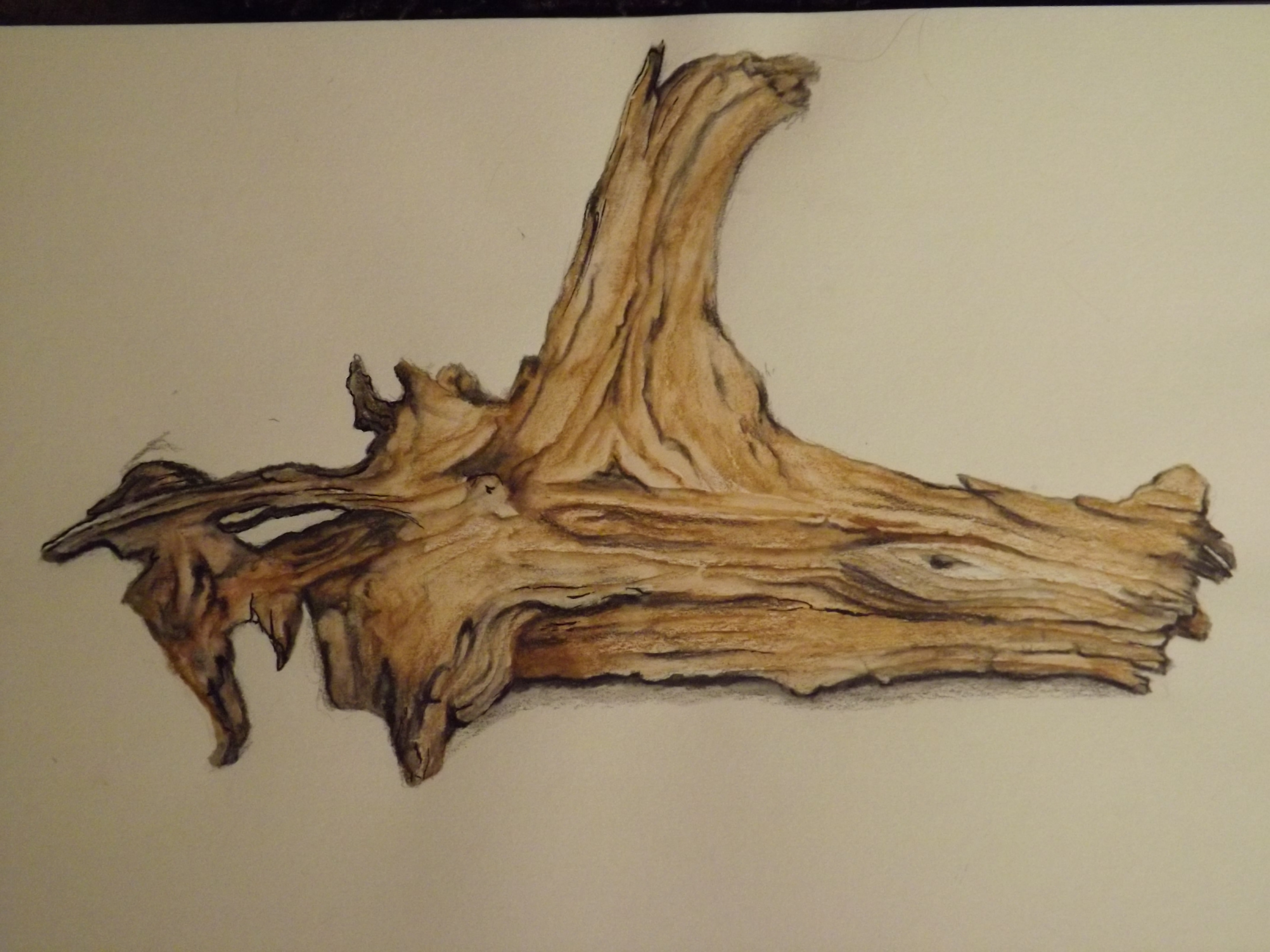 4288x3216 Branchpencil Drawing. Whatevertheweather - Branch Sketch
