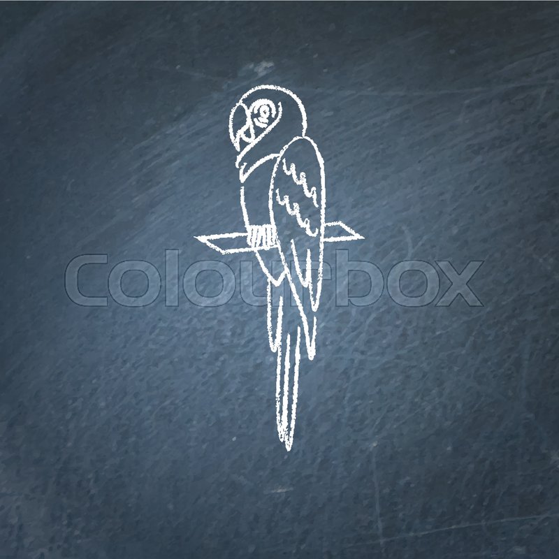 800x800 Macaw Ara Parrot Icon Sketch On Chalkboard. Brazilian Tropical - Brazilian Sketch