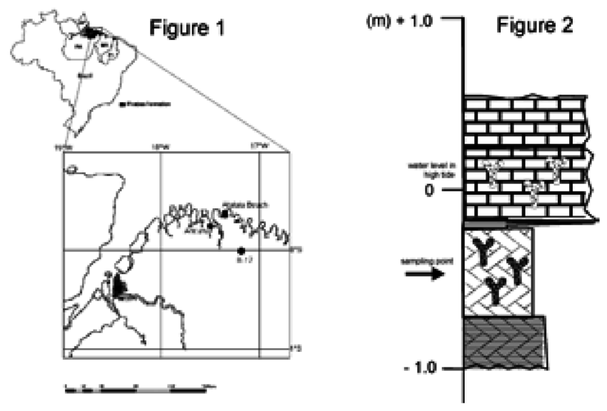 850x576 Sketch Of The Studied Brazilian Localities .figure 2 - Brazilian Sketch