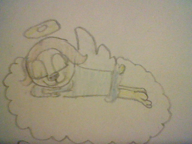 640x480 Image - Bright Eyes Sketch