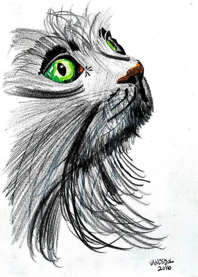 645x900 Kitty Cat With The Bright Green Eyes Drawing By Scott D Van Osdol - Bright Eyes Sketch